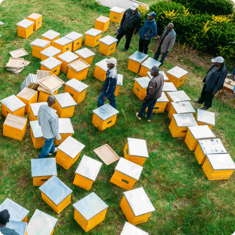 Kenya Honey Bees Project_gallery