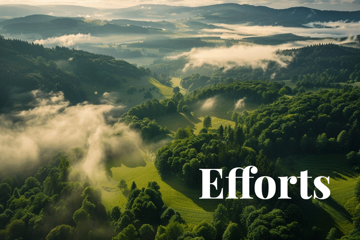 Leading German companies_ their carbon footprints and reporting practices_Aerial view of Black Forest in Germany_visual 1