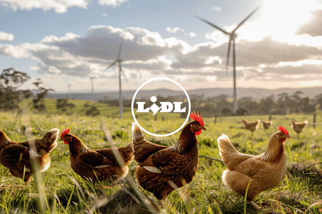 Leading German companies_ their carbon footprints and reporting practices_Free-range chickens in a green field, a wind farm in the background_visual 5