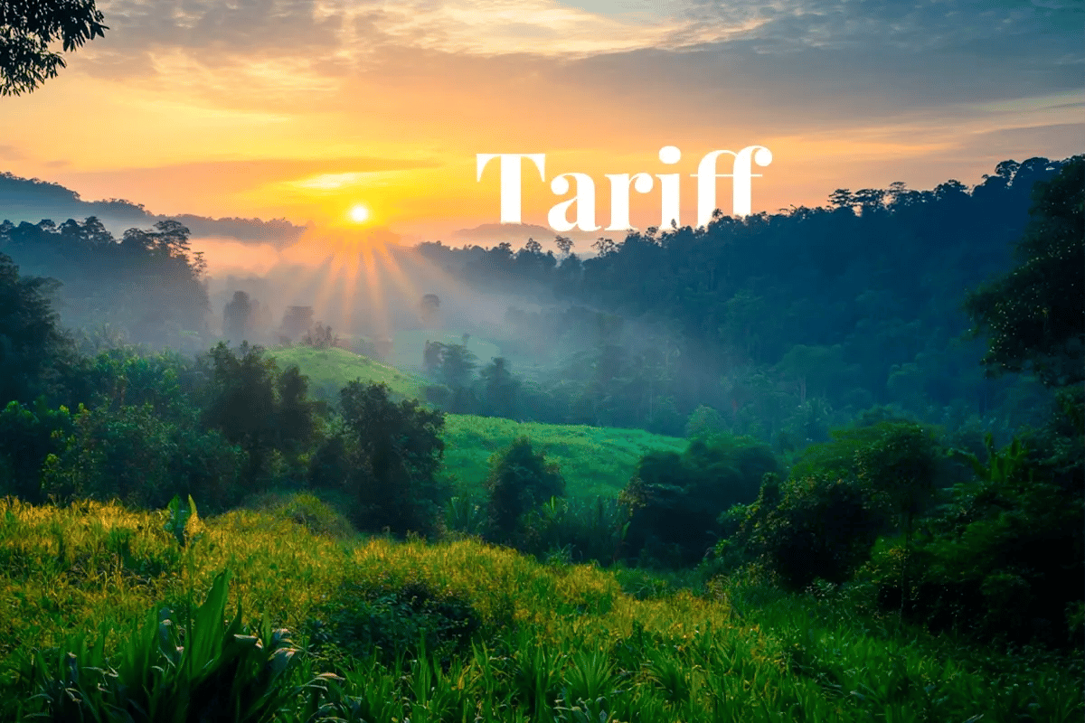 Malaysia to introduce carbon tax in 2026, eyes green transition_Sunset view over the lush landscapes of Taman Negara, Malaysia_visual 1