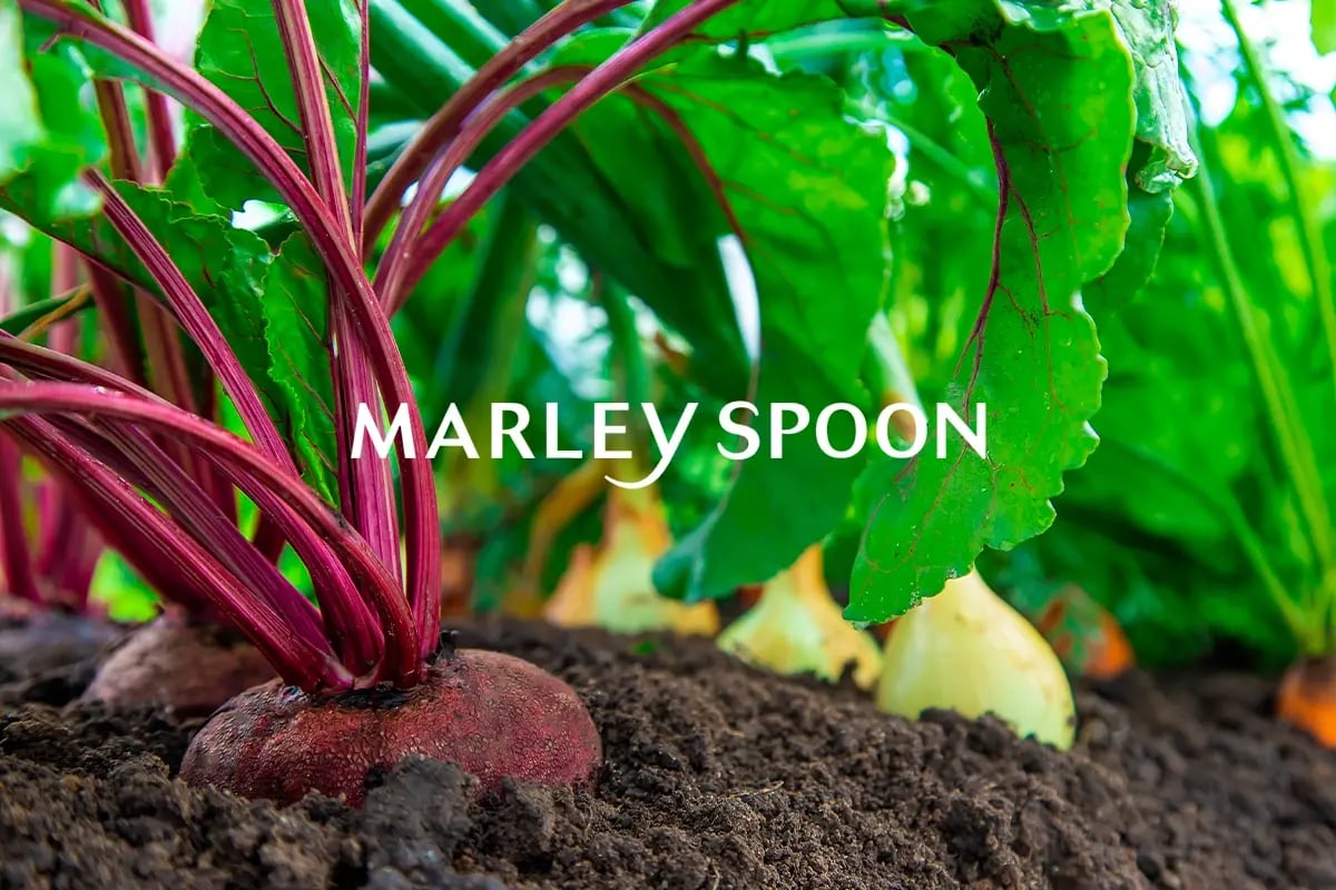 Marley Spoon_visual 1