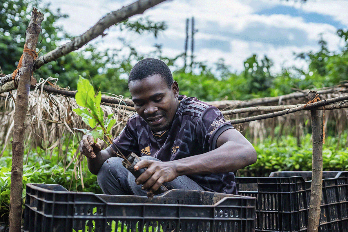 Meet the team behind the Bulindi Chimpanzee Habitat Restoration Project_Brian working in a tree nursery_visual 6