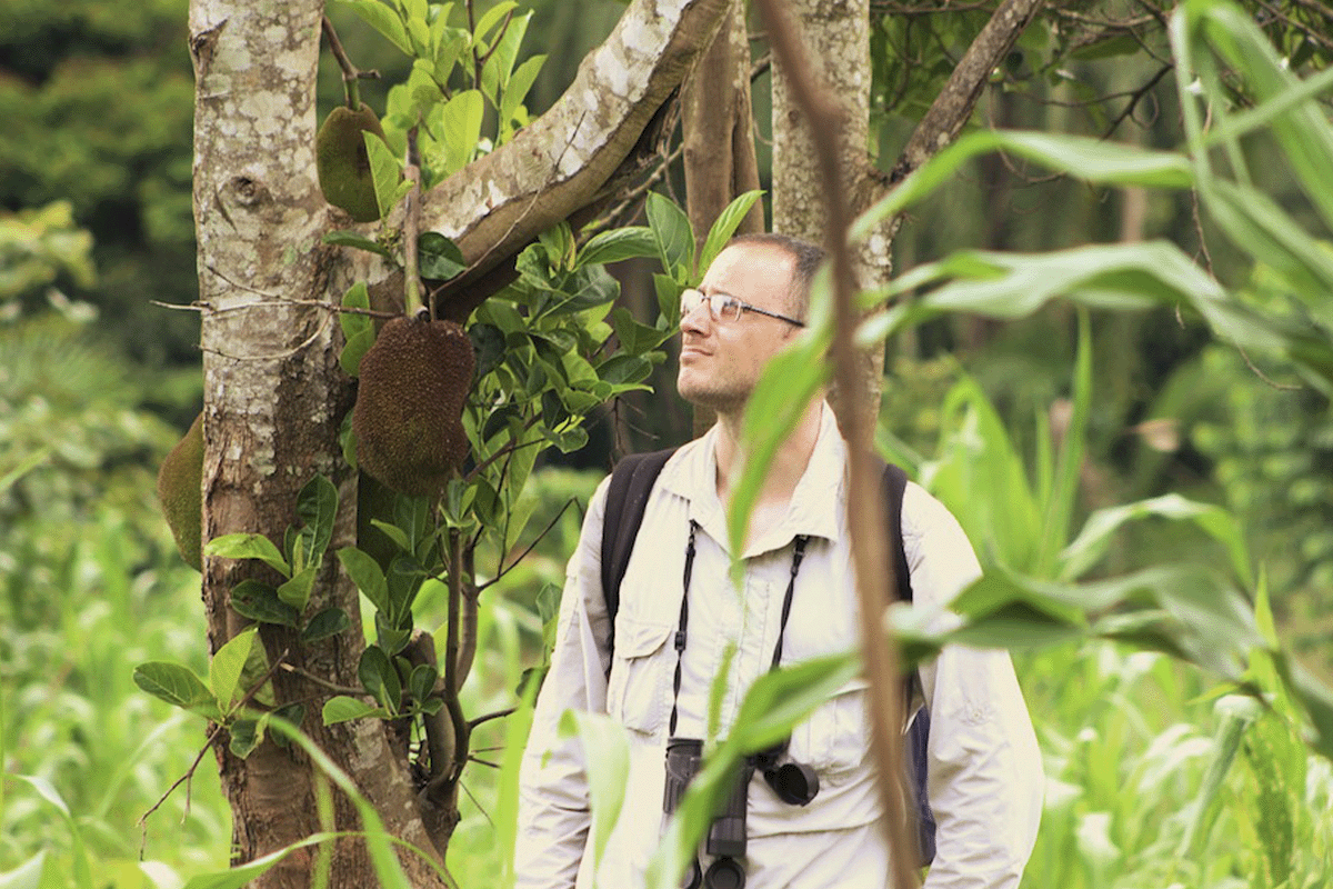 Meet the team behind the Bulindi Chimpanzee Habitat Restoration Project_Dr Matt McLennan during a research in a forest_visual 2