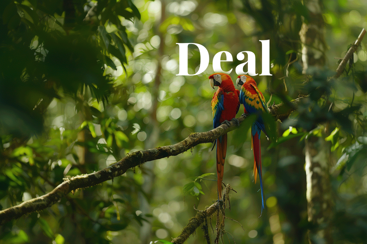 Microsoft expands environmental commitment with major Brazilian reforestation deal_Two macaw parrots sitting on a tree branch in a Brazilian forest_visual 1