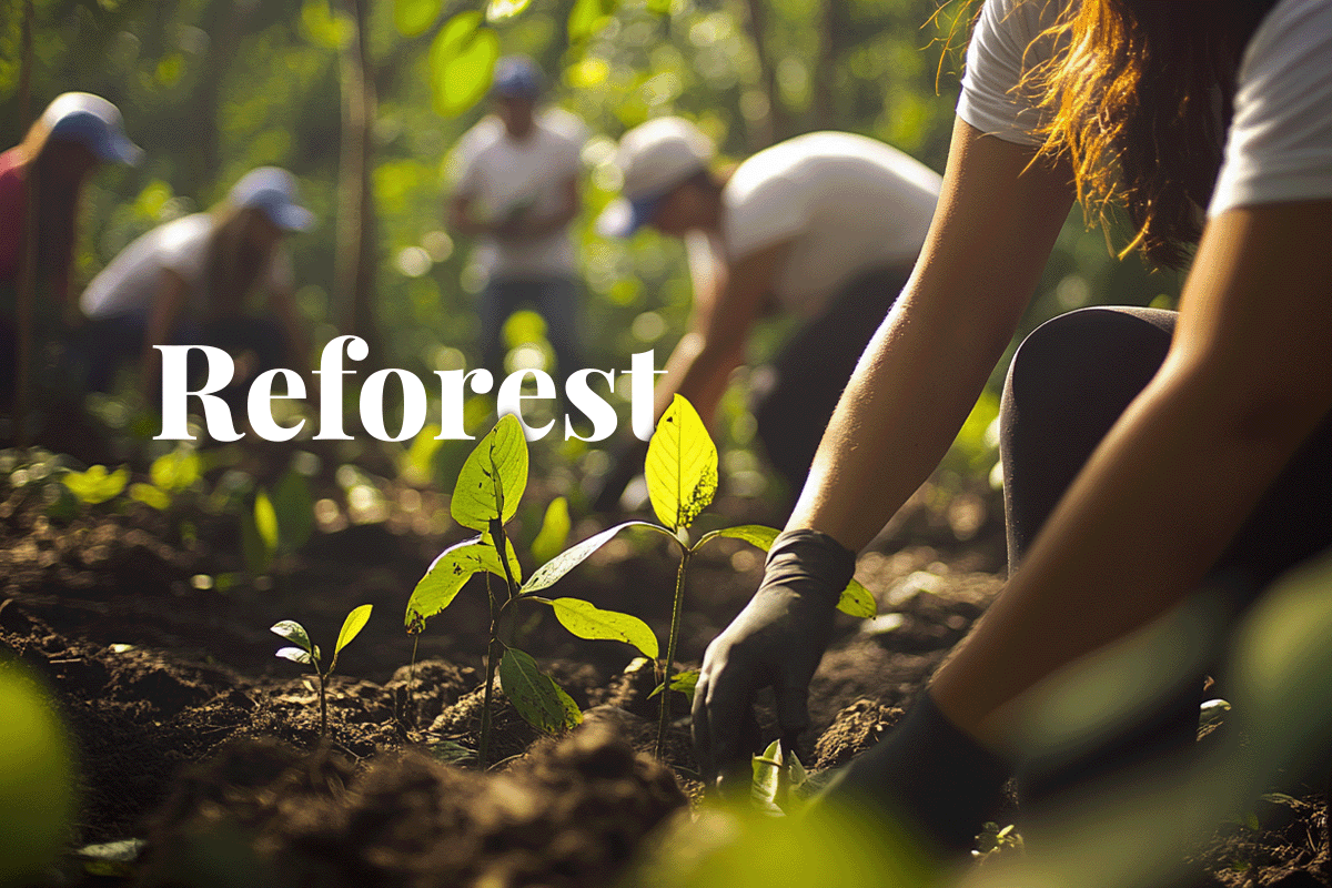 Microsoft secures 234,000 carbon credits from Mexican forest_Local community engaging in environmental restoration in the tropical rainforests of Campeche, Mexico_visual 1