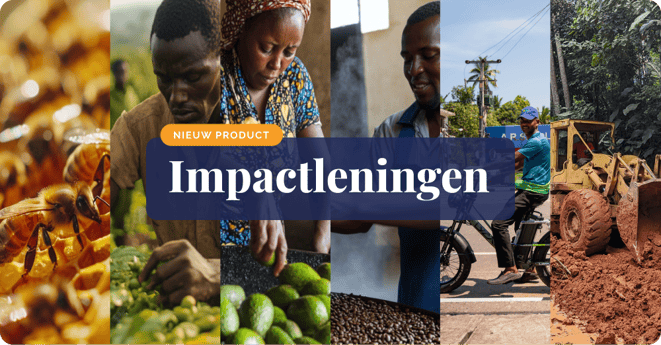 NL_Impact Loans_newsletter cover