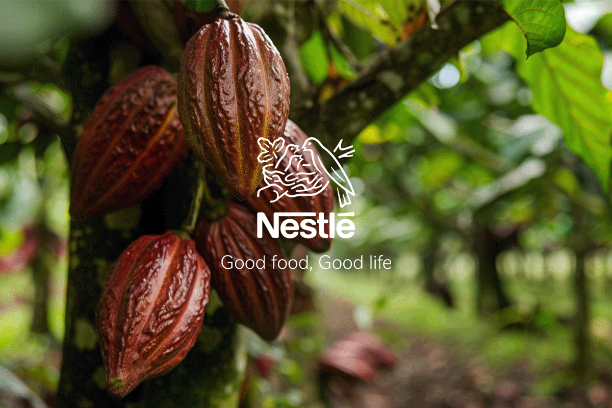 Nestlé’s net-zero journey_Close-up of cocoa tree, cocoa plantations in the background_visual 1