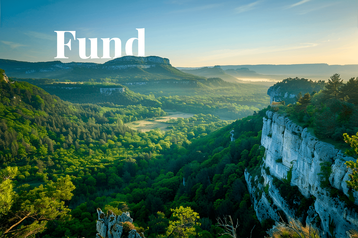 New €200 million fund targets European afforestation and biodiversity_Landscape view of The Orleans Forest in France_visual 1