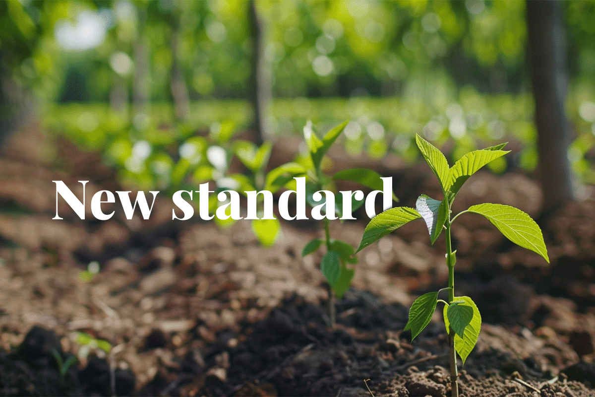 New ISO standard to accelerate global net-zero efforts_Close-up of tree seedlings growing in a row, young forest in the background_visual 1