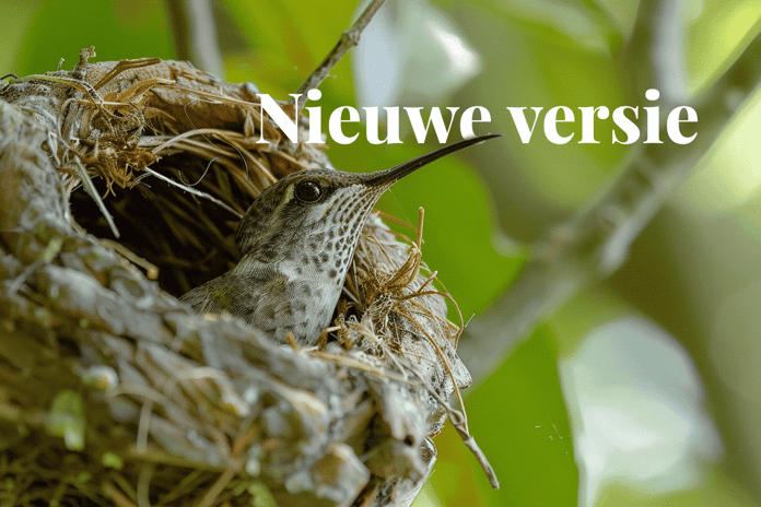 New VCS version 4.7 launched_ Verras commitment to enhanced carbon standards_A close-up of a hummingbird in its nest_visual 1_NL