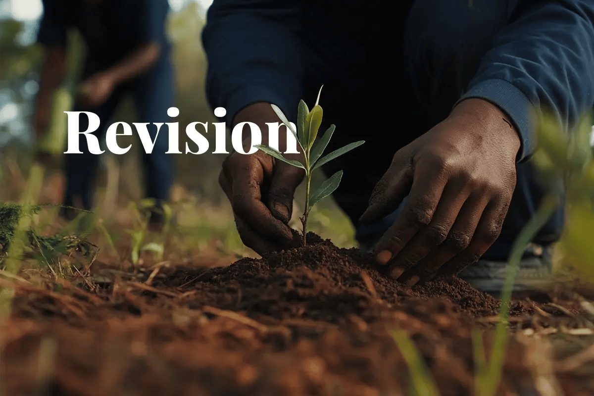 New carbon tax measures in South Africa to drive local offsets_A close-up of a tree nursery worker planting a seedling in rich South African soil, with a vibrant forest in the background_visual 1