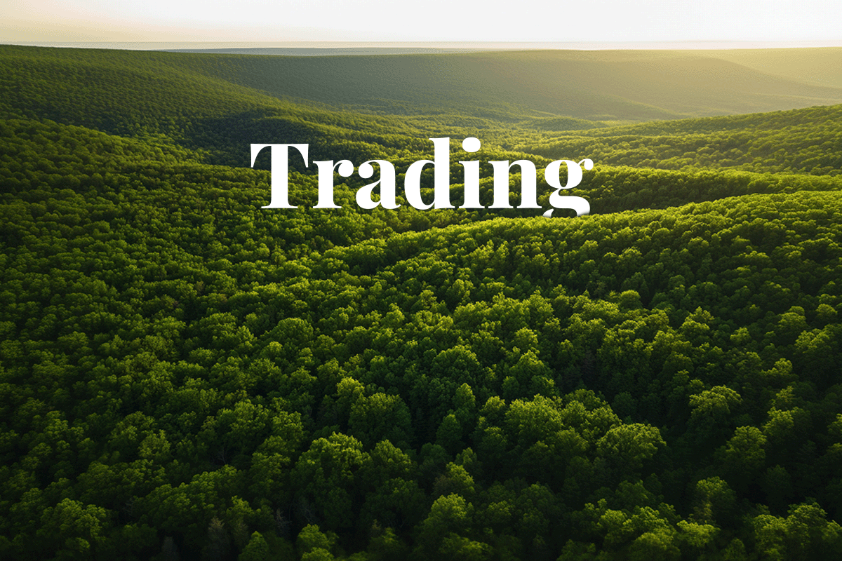 Northern Trust launches blockchain platform for carbon credit transactions_ Landscape of the lush green canopy of the Eastern Deciduous Forest in US_visual 1