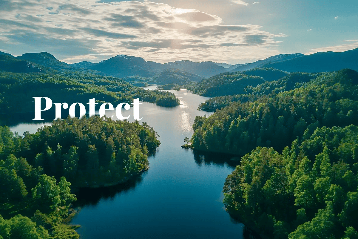 Norway commits $740m to boost global carbon credit market_An aerial view of the expansive deciduous forests in the Østlandet region of Norway_visual 1