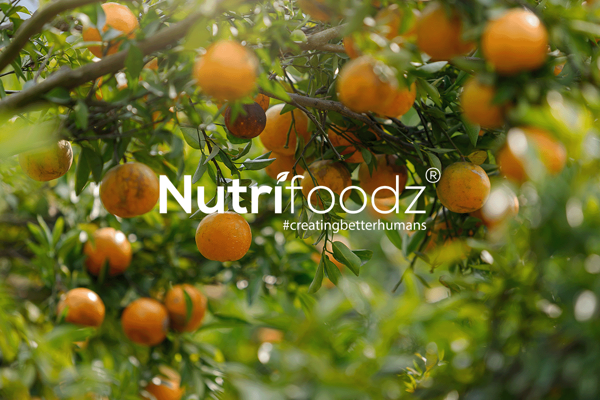 Nutrifoodz_case study_visual 1