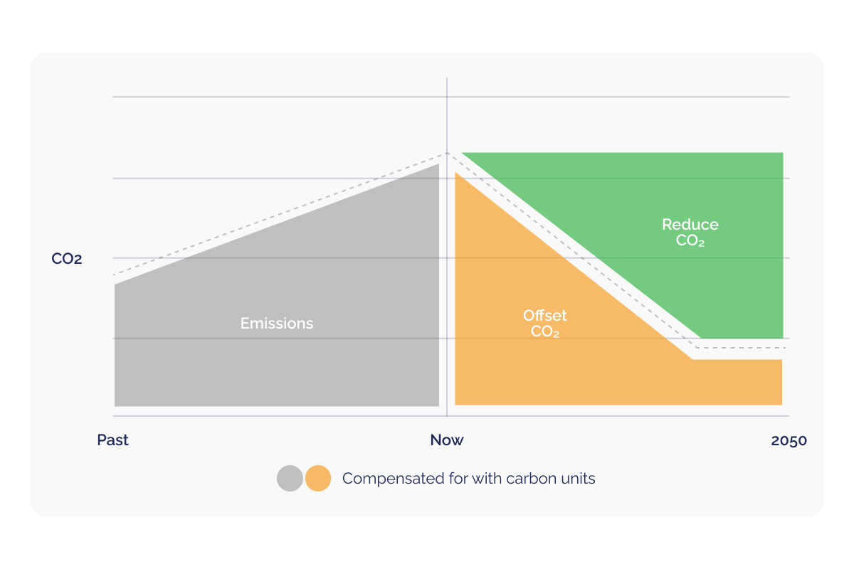 Overcoming sustainability challenges  practical solutions for your business_Illustration showing carbon reduction chart_visual 4