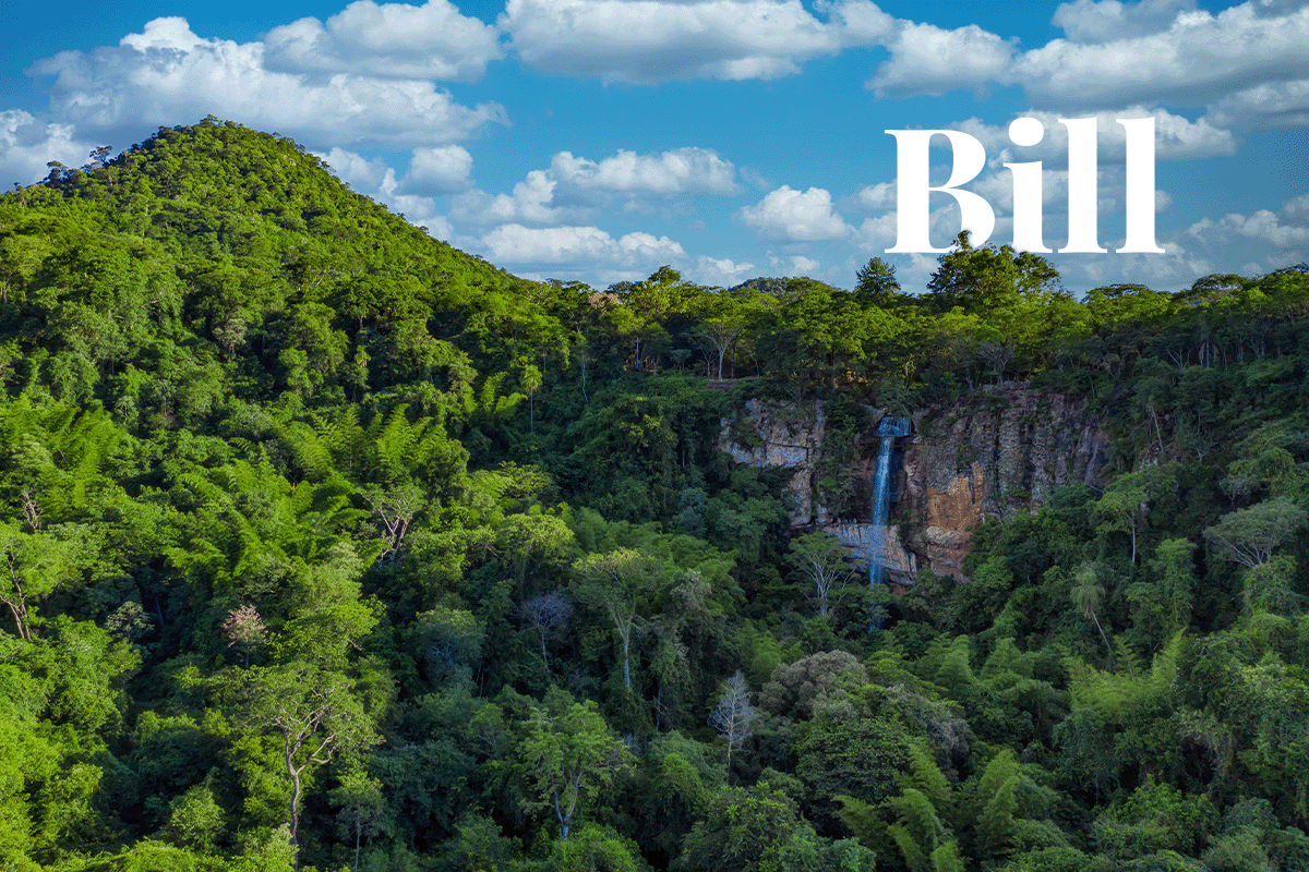 Paraguay advances landmark carbon credit legislation_View of the Salto Suizo waterfall in Paraguay_visual 1