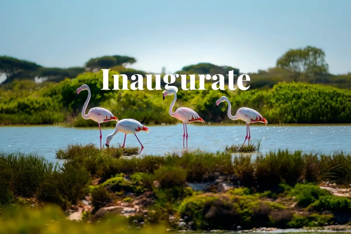 Portugal launches portal to kickstart domestic VCM_ Flamingos wading in the serene waters of Ria Formosa Natural Park, Portugal_visual 1