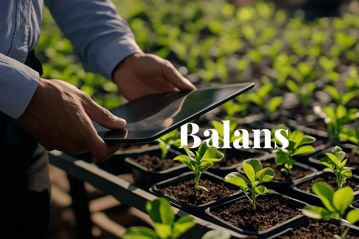 Powering AI responsibly_ the role of carbon compensation_Close-up of a man using a tablet in a tree nursery, with tree seedlings growing in the background_visual 1_NL