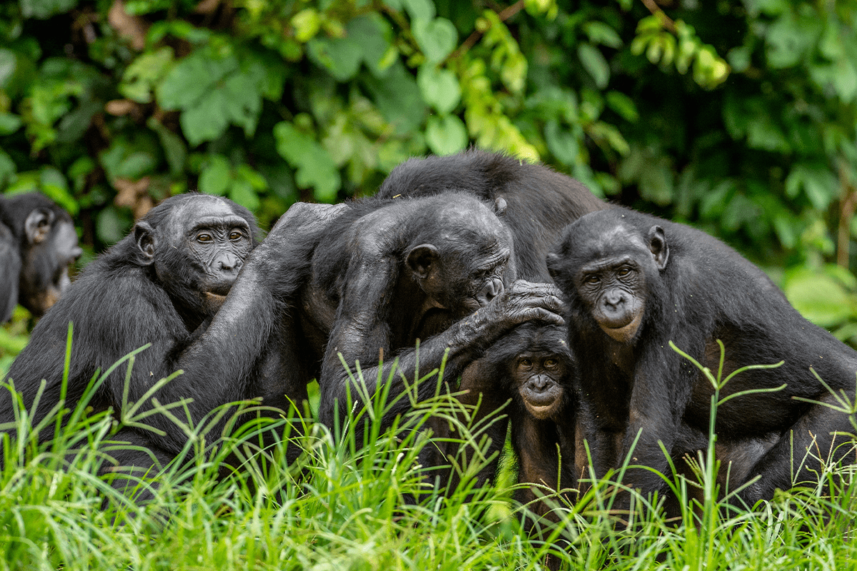 Protecting vital habitats