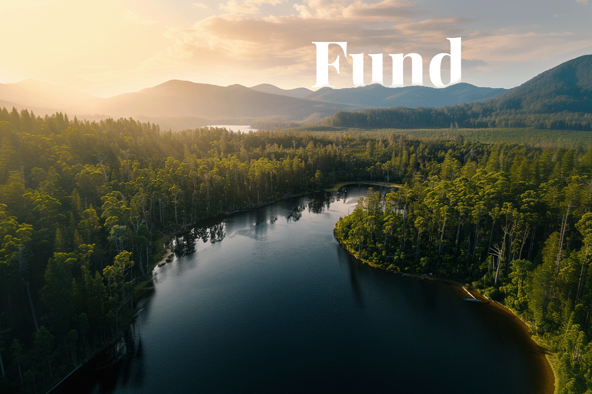 Qantas, Rio Tinto, and BHP back $165m nature-based carbon fund_Aerial view of Tasmanian Wilderness, the biggest forest in Australia_visual 1