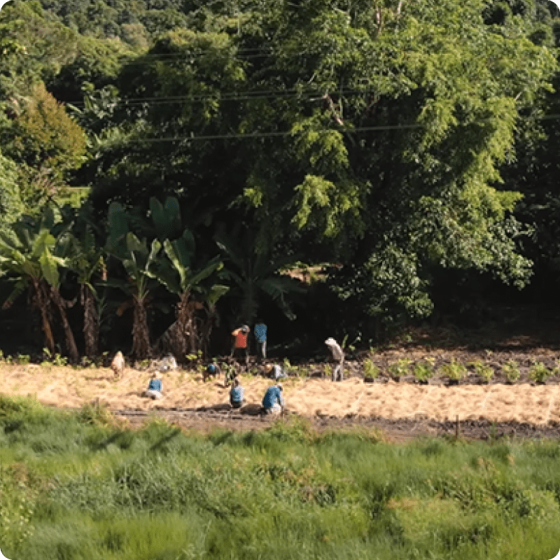 Queensland Biodiversity Pilot Project_gallery 4-min