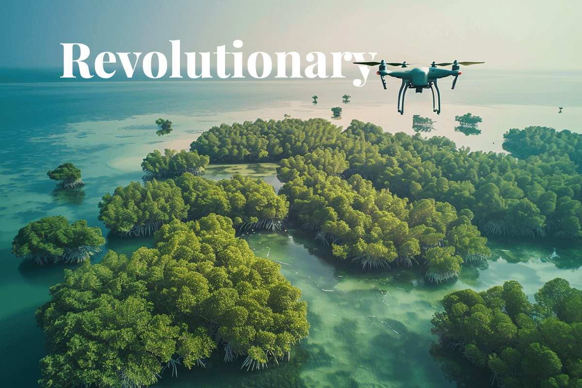 Revolutionary AI restoration tech attracts $15.7 million in funding_View of mangroves in Abu Dhabi and a drone flying above them_visual 1