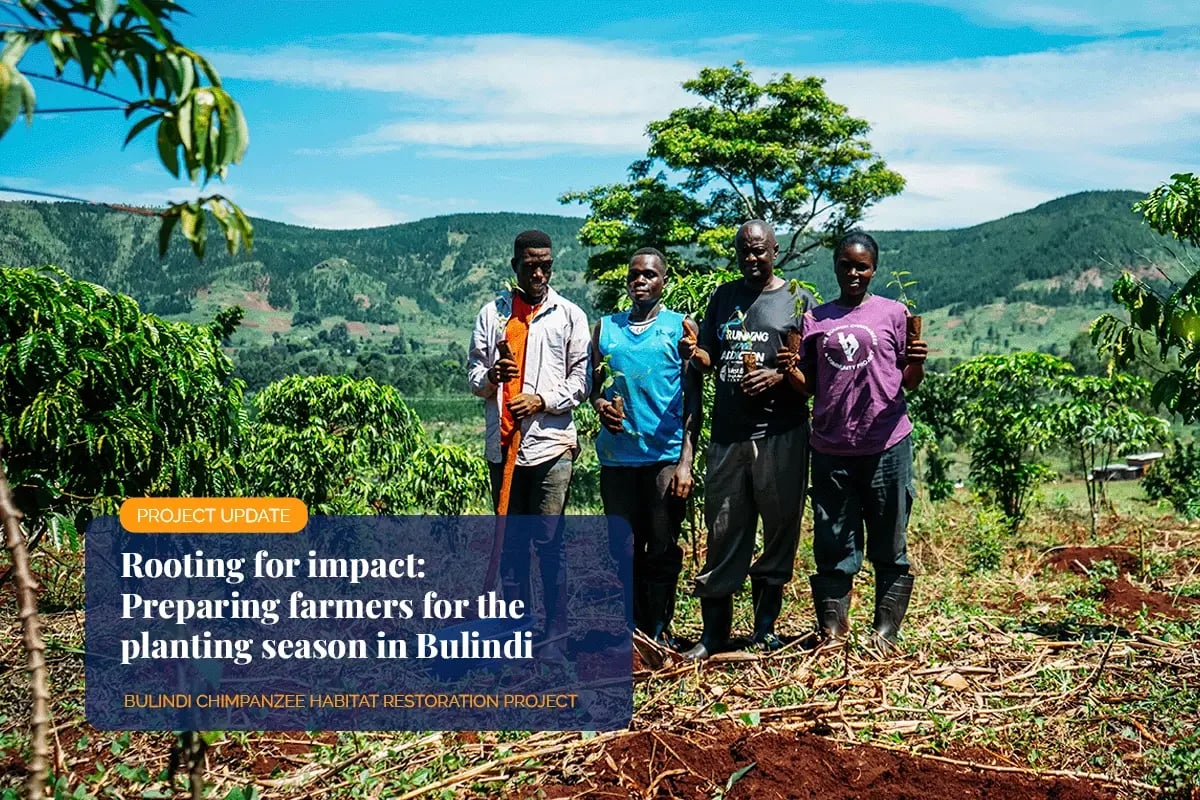 Rooting for impact, Preparing farmers for the planting season in Bulindi_ A group of farmers during a seedling planting training session_visual 1