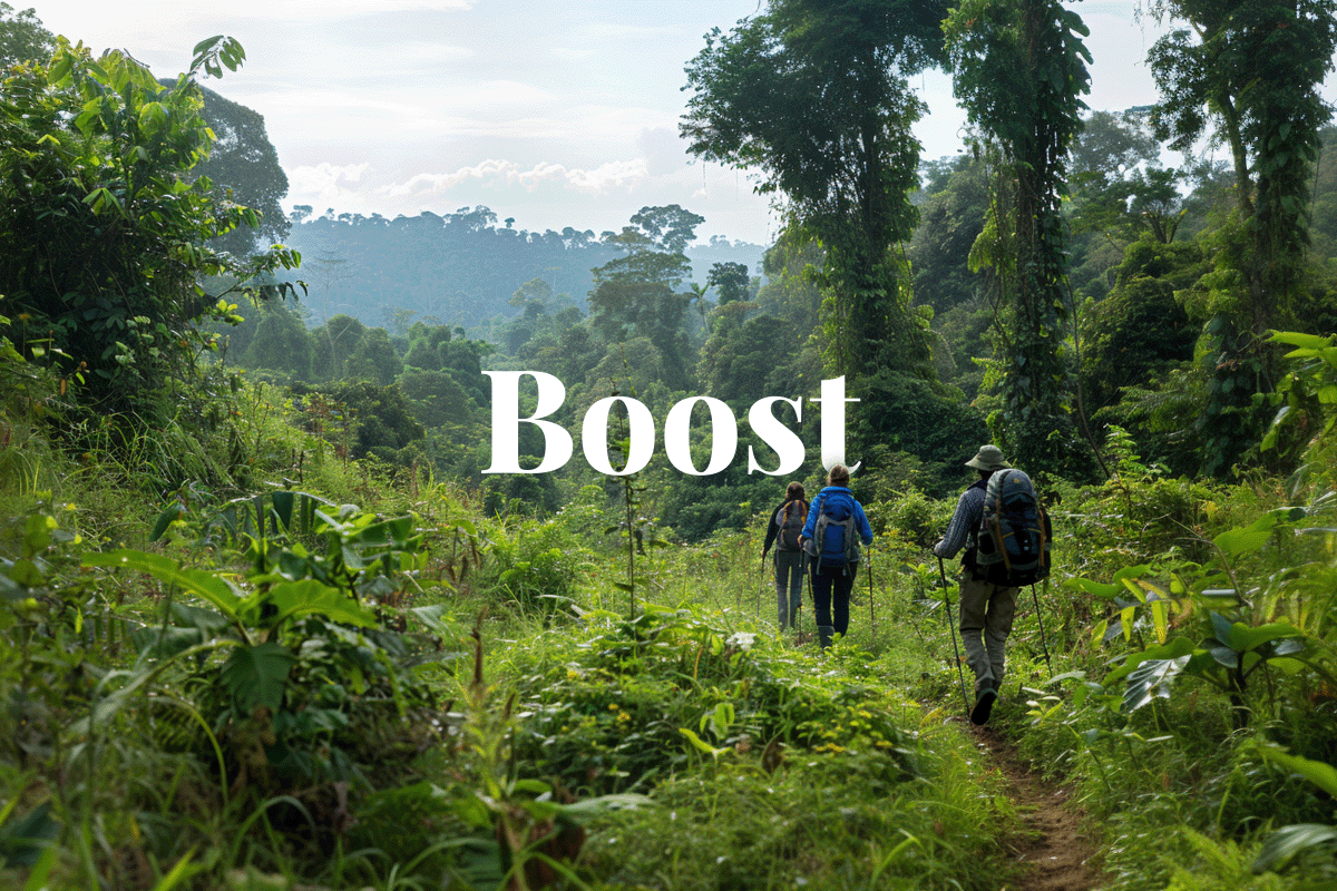 Rwanda secures $39m to combat deforestation and boost eco-tourism_Hiking tourists, as part of eco-tourism, explore the lush forests of the Congo-Nile Divide_visual 1