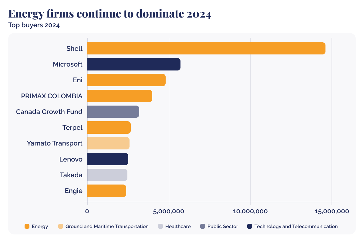 Shell and Microsoft lead the carbon credit market in 2024_A chart illustrating energy firms dominance in 2024 on the carbon credit market_visual 2