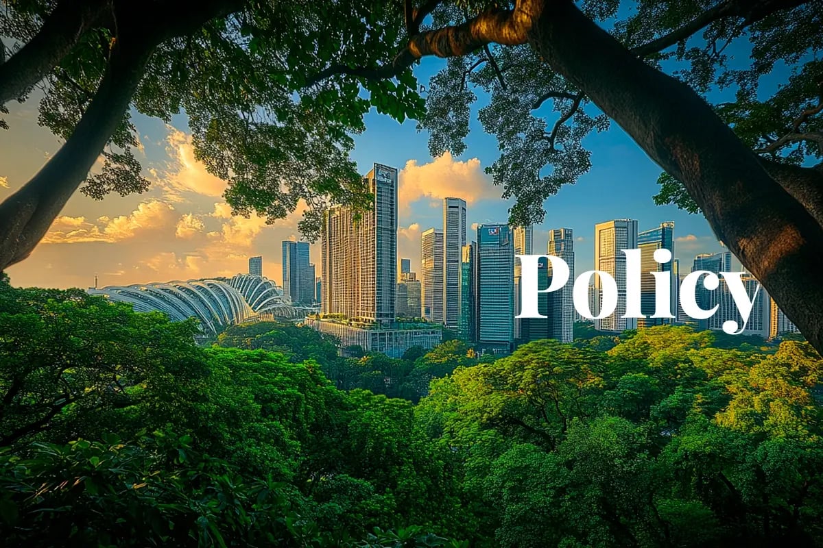 Singapore sharpens net zero pathway aiming for emission reduction up to 25%_A view of Singapore through trees_visual 1