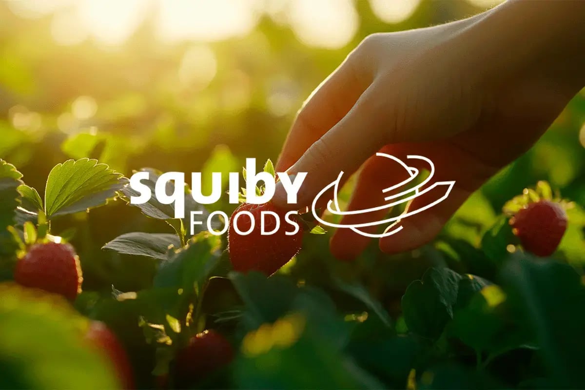 Squiby Foods carbon footprint journey_Close up of a person harvesting strawberries in a field_visual 1