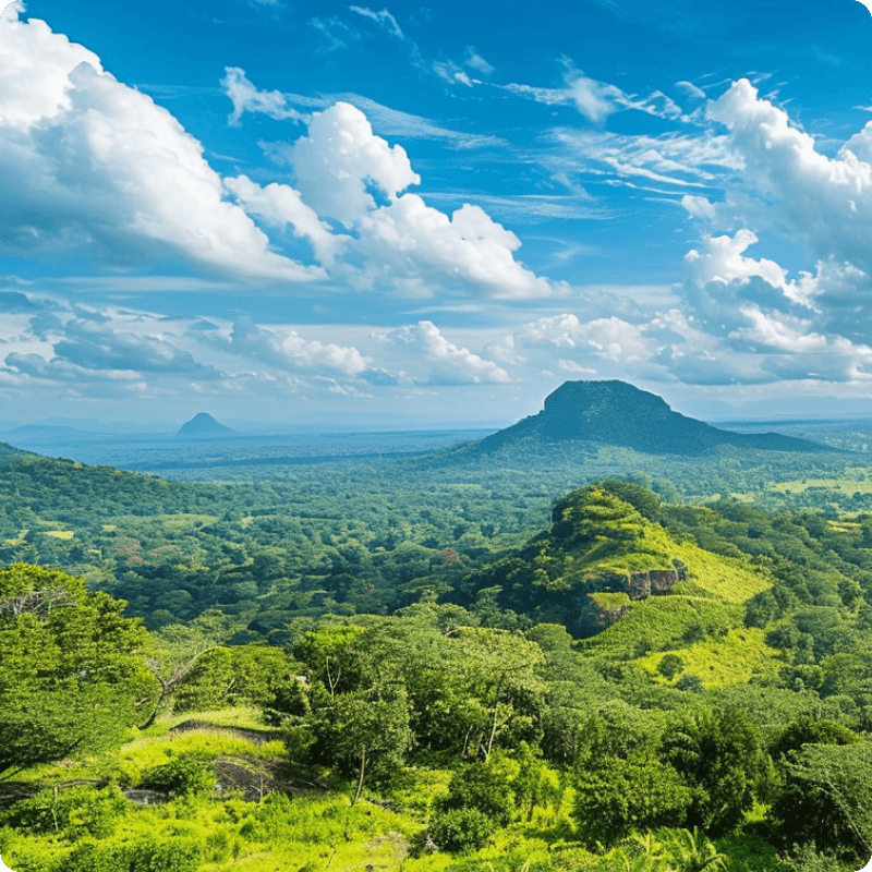 Sri Lanka Plastic Removal Project_gallery 4