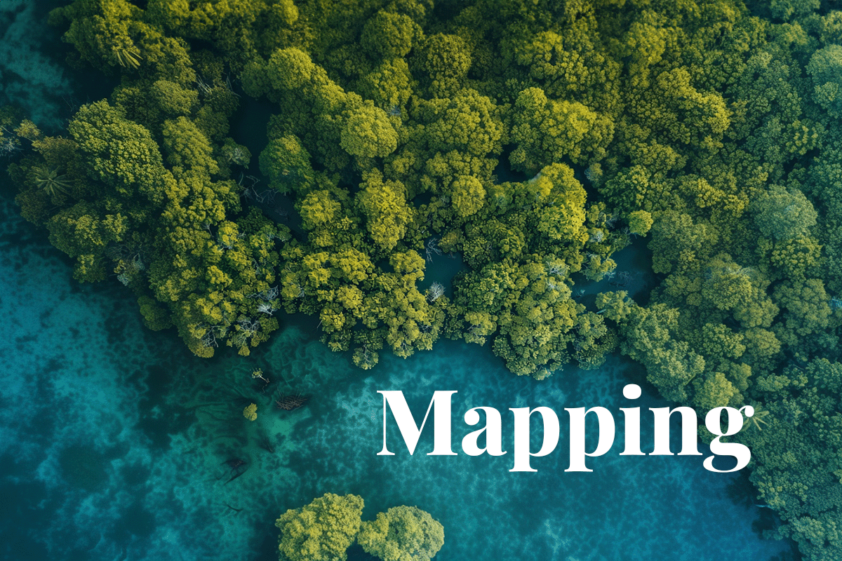 Sri Lanka launches comprehensive tree mapping for carbon markets_View from above of a forest and mangrove in Sri Lanka_visual 1