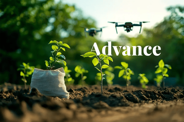 Streamlined carbon certification_ Isometrics new partnership_A deciduous tree seedling stands in the foreground, with additional seedlings in the background and drones flying above them_visual 1