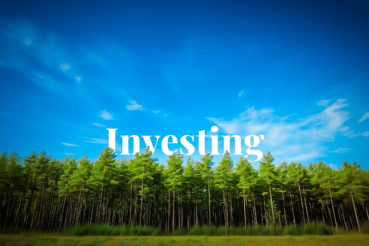 Sustainable bond market heading to $1 trillion in 2025_Large trees growing densely along the horizon_visual 1