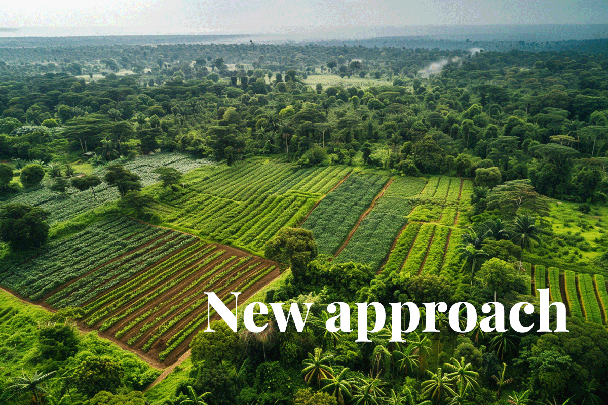 Tailoring REDD+ policies to forest transition stages a new approach_Drone picture of ‘forest–agricultural mosaics’ stage in Côte d’Ivoire_visual 1