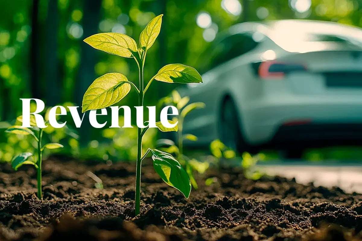 Tesla s carbon credit profits hit $2 76 billion as EV market shifts_A close-up of newly planted tree seedlings, with a Tesla car driving through a forest road in the background_visual 1