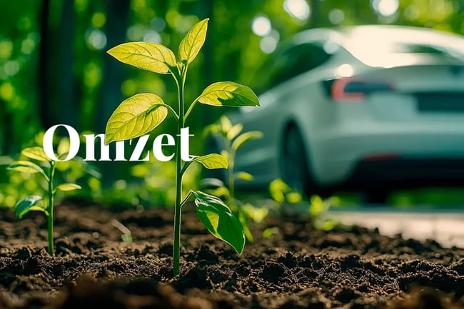 Tesla s carbon credit profits hit $2 76 billion as EV market shifts_A close-up of newly planted tree seedlings, with a Tesla car driving through a forest road in the background_visual 1_NL