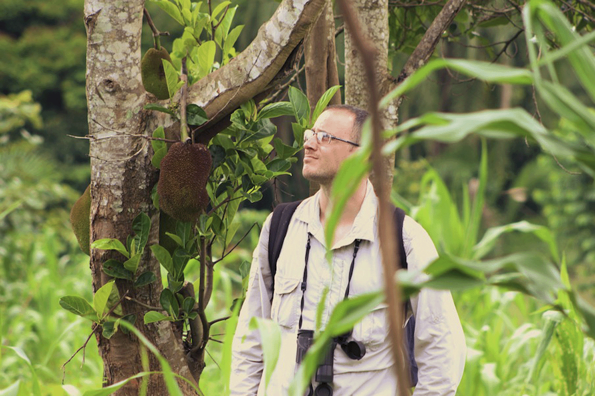 The Bulindi Chimpanzee Project shines on Planet Earth III_Dr Matt McLennan in a forest during his research_visual 4