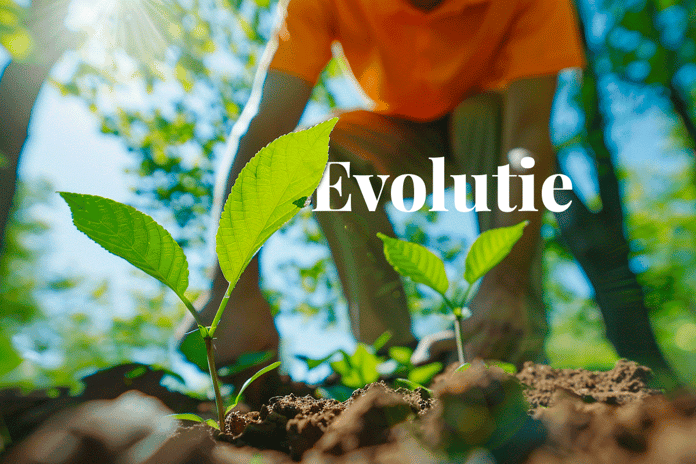 The evolution of voluntary carbon markets_View from below of tree seedlings in a forest and a man in the background_visual 1_NL