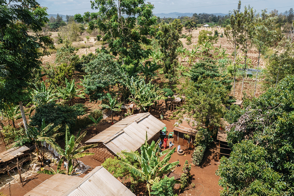 The rich tapestry of trees in DGB’s reforestation projects_Drone photo of a local peoples household in Kenya_visual 7