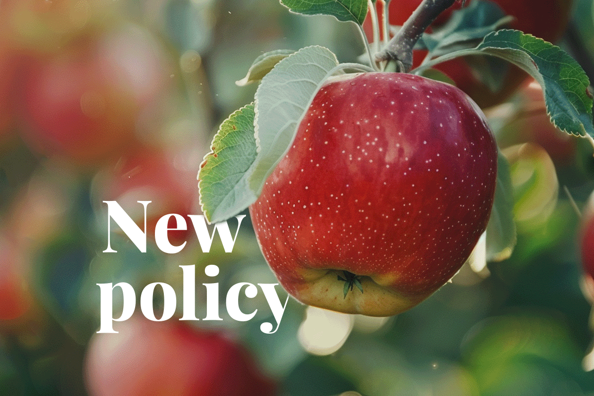 UK to impose VAT on voluntary carbon credits from September 2024_Close-up of an apple in an orchard_visual 1