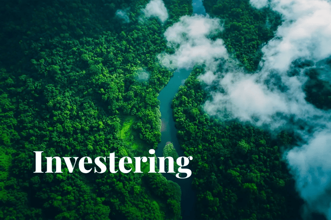 UN Green Climate Fund pledges $1B to 37 countries_Satellite image capturing a lush green jungle intersected by a river from space_visual 1 NL