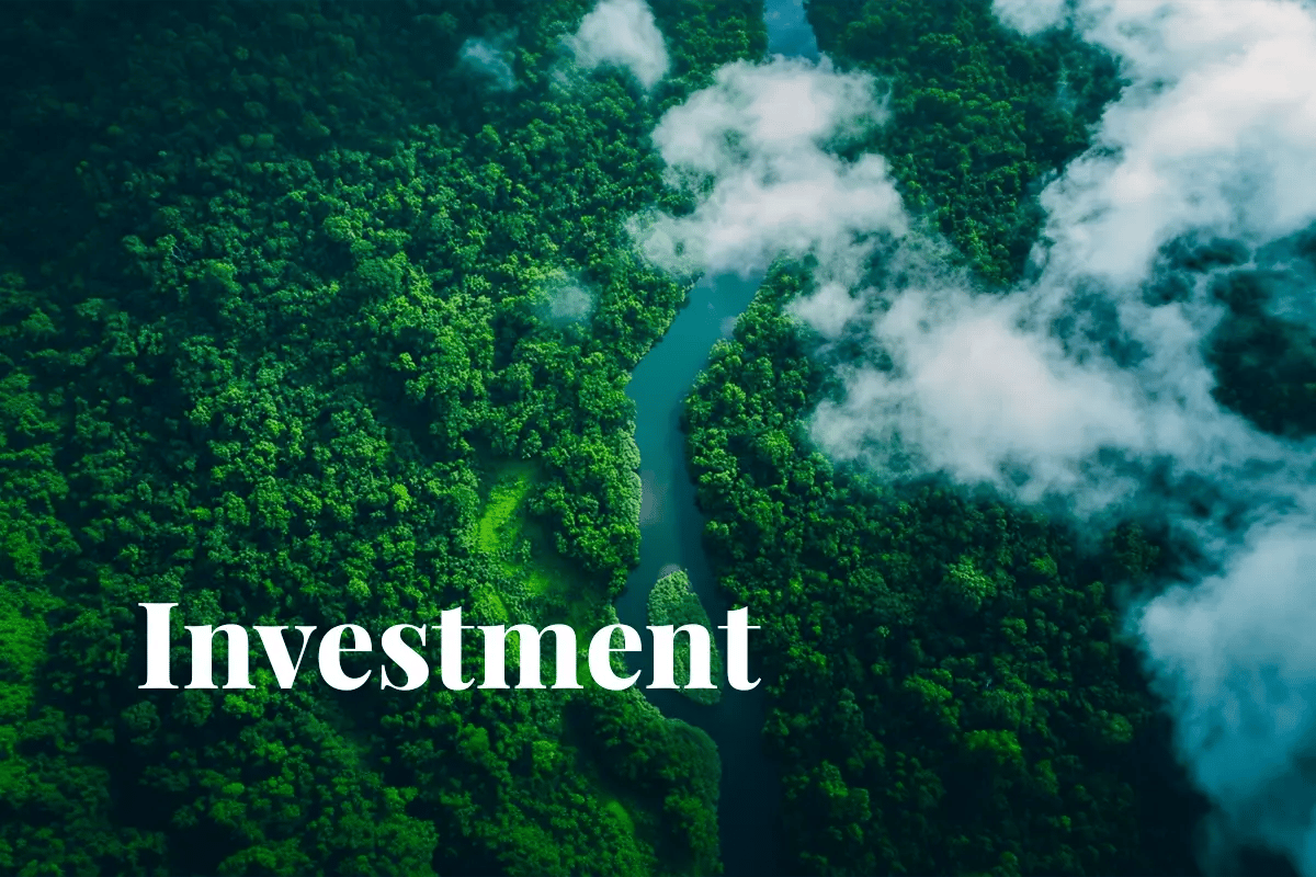 UN Green Climate Fund pledges $1B to 37 countries_Satellite image capturing a lush green jungle intersected by a river from space_visual 1