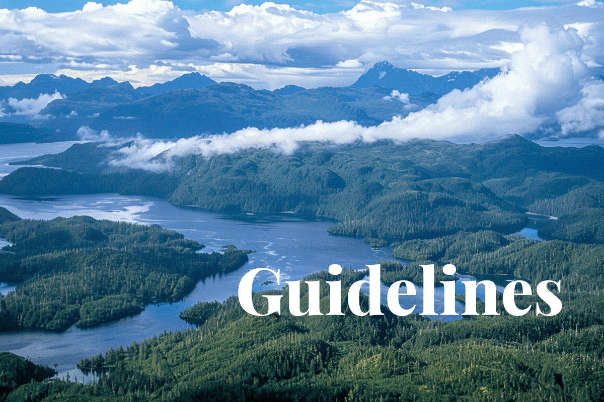 US regulator to unveil carbon credit guidelines by year-end_Aerial view of Tongass National Forest_visual 1