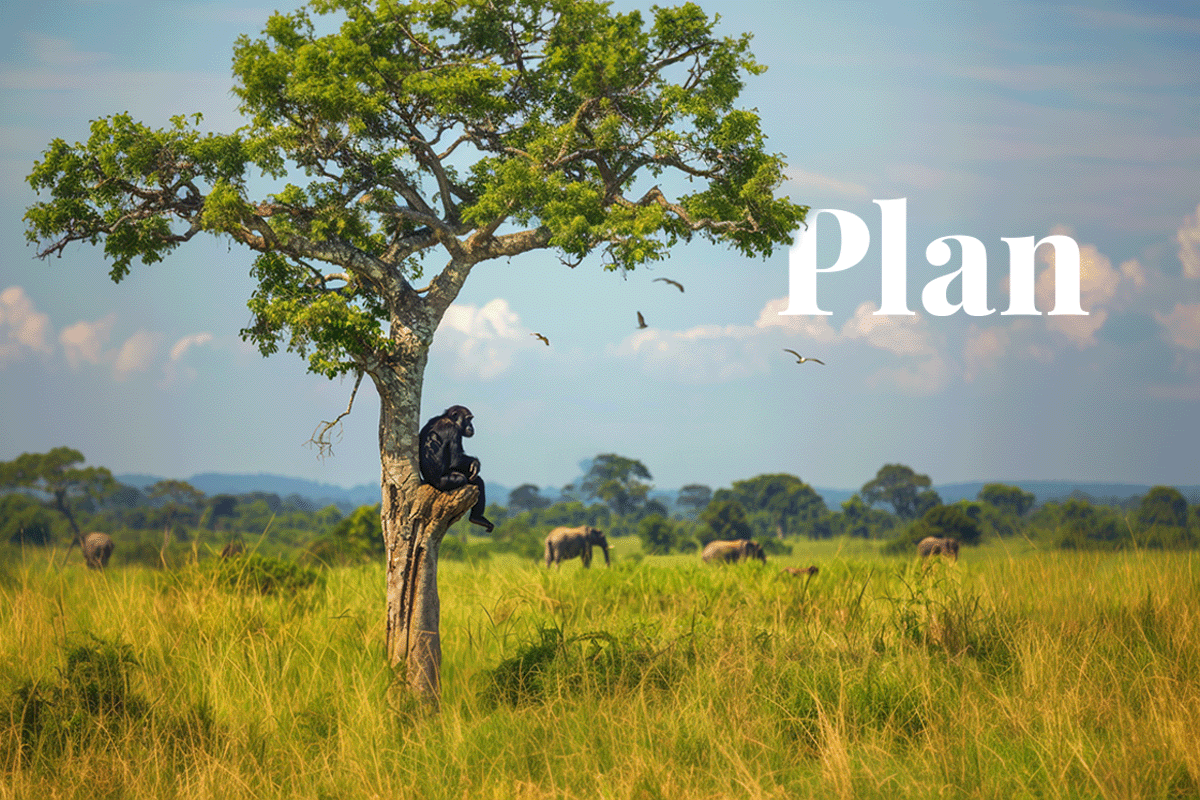 Uganda enters the second phase of its plan to combat biodiversity loss_Biodiversity of Uganda - a chimpanzee sitting on a tree, elephants walking in the background_visual 1