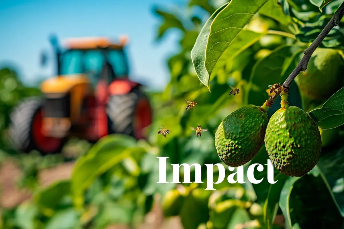 Unlock a green future through sustainable impact investing_Close-up of an avocado tree branch with bees in motion, with a tractor operating in the agricultural field in the background_visual 1