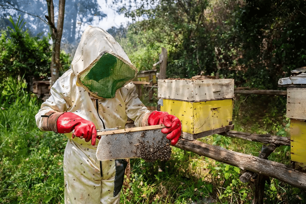 Unlock a green future through sustainable impact investing_DGB team member working on a hive_visual 5