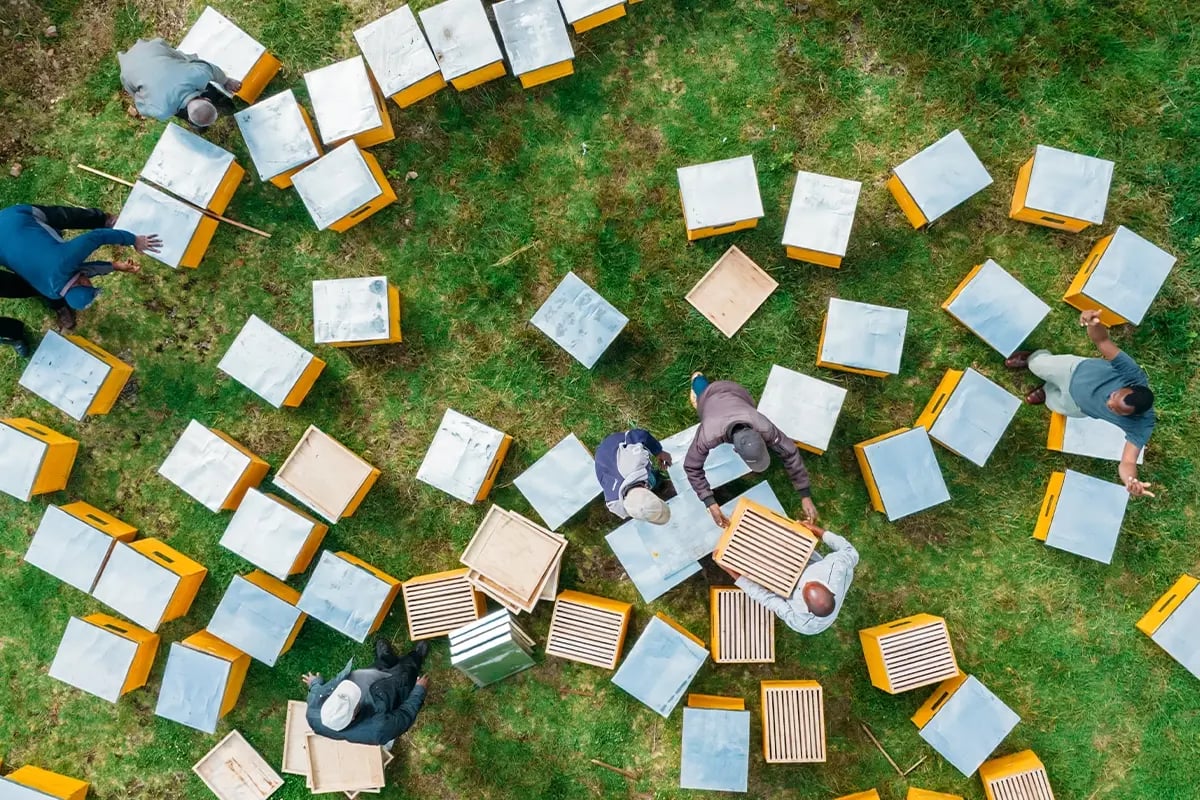 Unlock a green future through sustainable impact investing_Drone photo of DGB team members during beehives distribution and training_visual 4