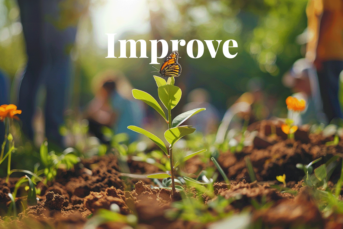 Verra proposes revisions to improve afforestation practices_Butterfly sitting on a tree seedling in a park, people in the background_visual 1